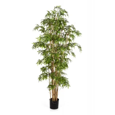 Искусственное дерево Бамбук Новый натуральный Бамбук в Перми за 31 464 ₽ на  сайте Экспресс Офис