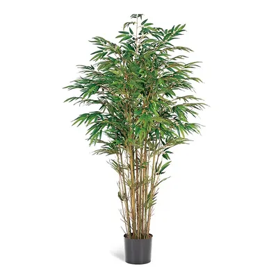 Купить Искусственное дерево Бамбук темно-зеленый 110см в кашпо, ФитоПарк по  выгодной цене в интернет-магазине OZON.ru (309067290)