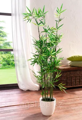 Дерево бамбука искусственного, светлый стебель, 150 см в интернет магазине  Украфлора