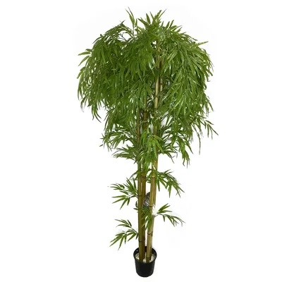Бамбук искусственный дерево высота 2 метра. Искусственное дерево купить