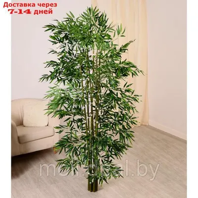 Дерево искусственное - Бамбук 170см (ID#1329196049), цена: 4200 ₴, купить  на Prom.ua