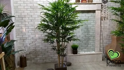 Купить Искусственное дерево, декоративный бамбук, цветок комнатный большой  напольный в бежевом кашпо для декора, интерьера, дома, в подарок, 160 см по  выгодной цене в интернет-магазине OZON.ru (655363102)