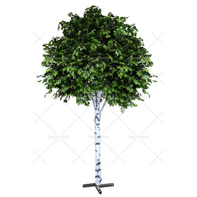 🌳 Искусственное дерево: Берёза, 150-550см купить » Искусственные растения  с доставкой по всей России