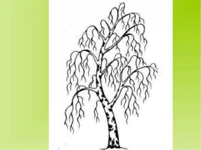🌳 Искусственное дерево: Берёза, 150-210см купить » Искусственные растения  с доставкой по всей России