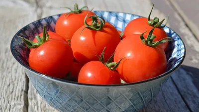 Fresh Hub - 🍅 А вы знали, что на родине дикие помидоры растут на деревьях,  и при желании томатное дерево можно вырастить в теплице? Высота деревца  достигает четырёх метров, а площадь кроны —