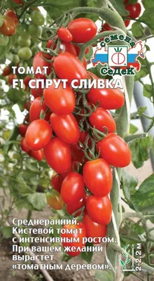 https://naked-science.ru/article/chemistry/pomidory-po-raznomu-otrea