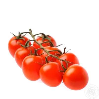 Фермеры под Новороссийском научились выращивать чудо-помидоры самого  вкусного в мире сорта – Новости Новороссийска