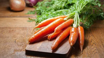 Чем полезна дикая морковь? | Оздоровчий центр «Дивосил»