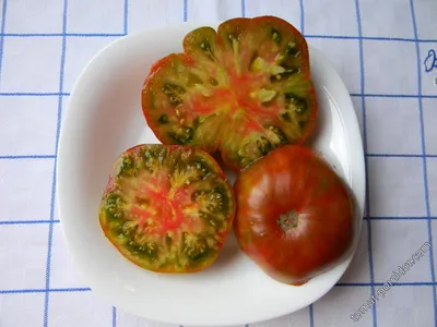 Дикие помидоры растут, как спелые, так и незрелые Стоковое Изображение -  изображение насчитывающей хуторянин, эко: 157262029