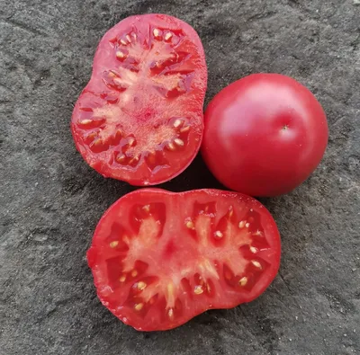 ТОМАТ ДИКИЙ ТИМЬЯН (WILD THYME), семена от Ларисы - Альбомы -  tomat-pomidor.com