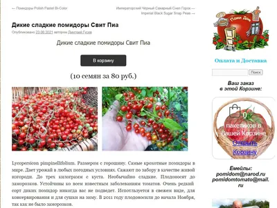 Интересные факты о помидорах. | Юркин двор | Дзен