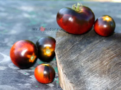 Почему томаты по-русски называются помидорами? — Radio Star Five