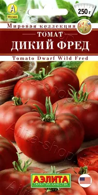 Семена томатов Wild Card Blue (Дикие синие карты), США - Сортовые семена  Mr.Pomidor
