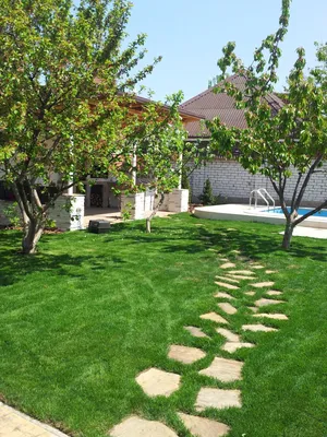 Создаём красивые и прочные садовые дорожки: топ 7 материалов | Лесстрой  Портал | Дзен