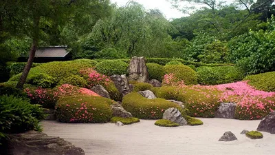 Японский сад Ирландского Национального Конного Завода | Ландшафтный дизайн  садов и парков