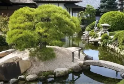 Сад в японском стиле 2020.