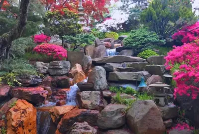 Японский сад камней своими руками. Ландшафтный дизайн сада | Любимая Дача.  Сад и Огород | Дзен