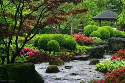 Ландшафтный дизайн внутреннего дворика в японском стиле - Блог Gardenello