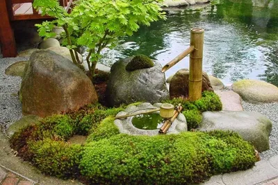 Простота и эстетика минимализма. Дизайнеры показали интерьеры заведений Японского  сада в Краснодаре - KP.RU