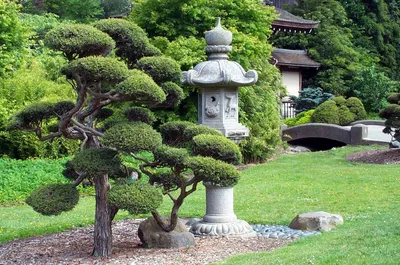 В чем особенности ландшафтного дизайна японского сада? | Красивый сад | Дзен