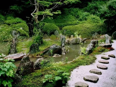 Японский сад | Обзор японского садового стиля | Sadik.ru