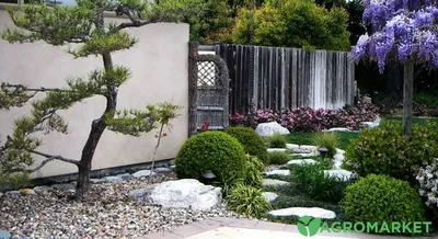 Ландшафтный дизайн японского сада – Ландшафтный дизайн — заказать услуги  дизайнера ландшафта Константина Юдина