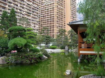 Оформление сада в японском стиле - Agro-market