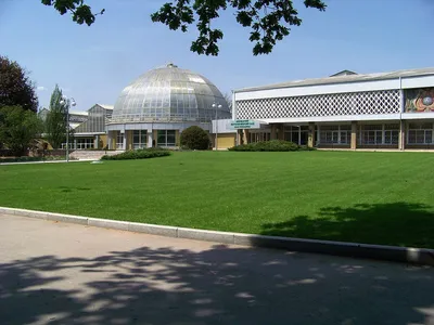 Донецкий ботанический сад фото фотографии