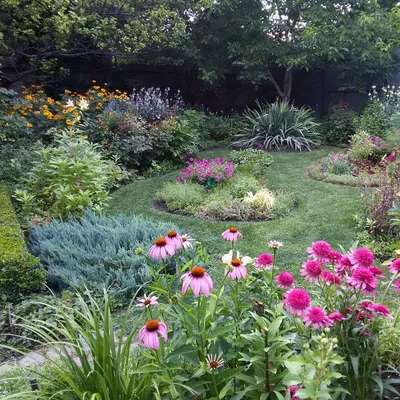 EIN on Instagram: “Эхинацея в саду #эхинацея #echinacea #сад #mygarden  #garden #mygardentoday #мойсадсегодня #flowersofmygarden #meing… | Garden,  Plants, Echinacea