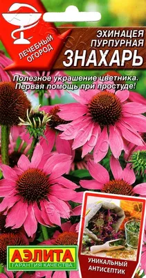 Эхинацея пурпурная Дабл Декер (Echinacea purpurea Double Decker) — Питомник  Летний сад