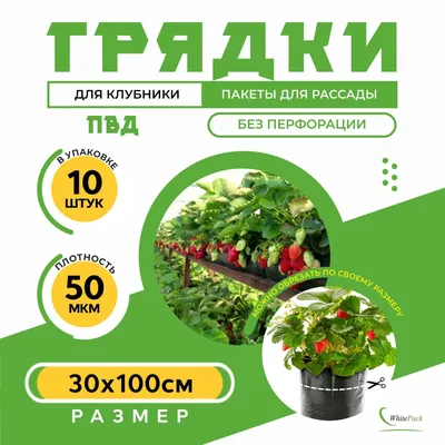 Органическая продукция - фермеры из Сумской области ведут успешное  органическое земледелие - «ФАКТЫ»