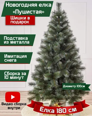Сосна (ель, елка) Диана с расщепленными кончиками (концами) 3 метра купить  по доступной цене в Минске