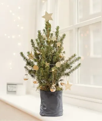 Украшенная рождественская елка в доме Стоковое Изображение - изображение  насчитывающей отражать, украшение: 22368453