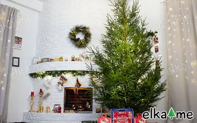 Искусственная новогодняя елка маленькая настольная Скандинавская мини литая  купить недорого в интернет-магазине с доставкой по всей России