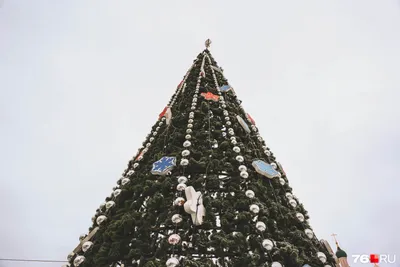 Новогодние украшения: создаем елку своими рукамии | Траектория жизни | Дзен