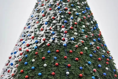 Новогодняя настольная елка, артикул F1235357 - 6990 рублей, доставка по  городу. Flawery - доставка цветов в Москве