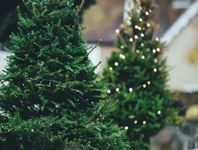 Купить Мягкая подвеска в виде рождественской елки ручной работы,  рождественский колокольчик, настенный подвесной декор для камина, лестницы  | Joom