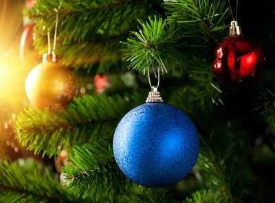 Новогодняя елка из шаров 2955 Золотой купить в Минске – цена оптом и в  розницу, характеристики | floradecor.by