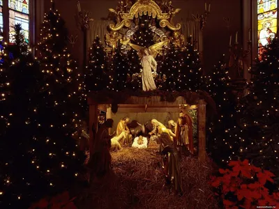 Новогодняя елка в храме христа спасителя - обои для рабочего стола,  картинки, фото