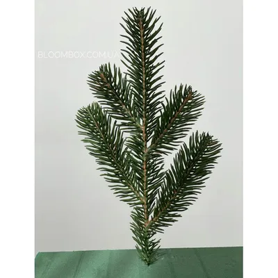 Искусственные ветки елки Хвои зеленые 26 см купить по цене 9.50 грн в  магазине рукоделия 100 идей