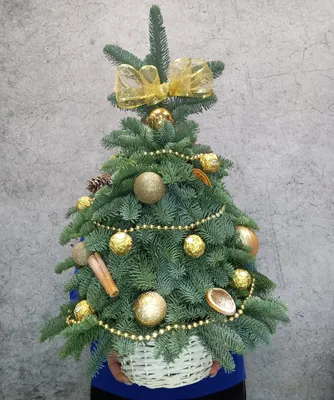 Новогодняя елка из веток своими руками (5 фото). Идея для дачи - Фазенда