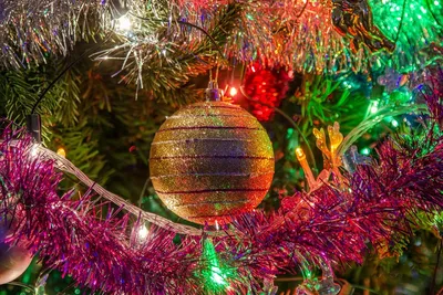 Как украсить новогоднюю елку: три главных тренда 2024 года | myDecor