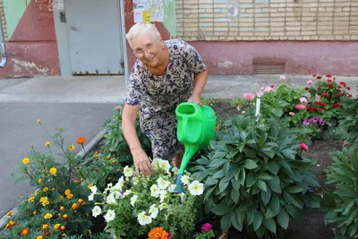 Эустомы Цветущий сад ЦС Эустома (Лизиантус) МАХРОВАЯ - купить по выгодным  ценам в интернет-магазине OZON (437653341)