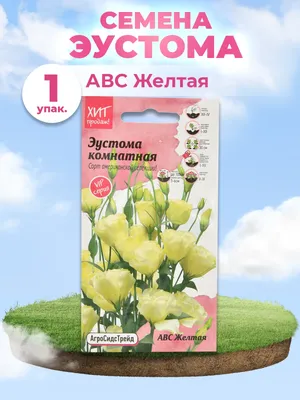 Как вырастить эустому, пеларгонию, герань, колеусы в Новосибирске,  февраль-март 2022 года. Какие цветы посадить на даче - 26 февраля 2022 - НГС