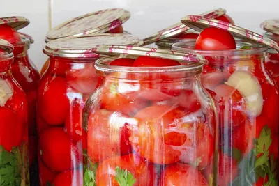 Фаршированные помидоры - пошаговый рецепт с фото на Готовим дома