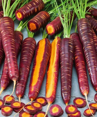 Морковь фиолетовая Перпл Хейз: купить в Уфе - цена 99 за шт. - Доставка  Почтой