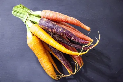 Отрезанная фиолетовая морковь на деревянной предпосылке Стоковое  Изображение - изображение насчитывающей органическо, диетпитание: 124503777