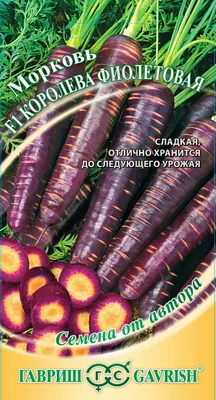 Фиолетовая морковь свежая 5 кг - Нидерланды - docom.com.ua