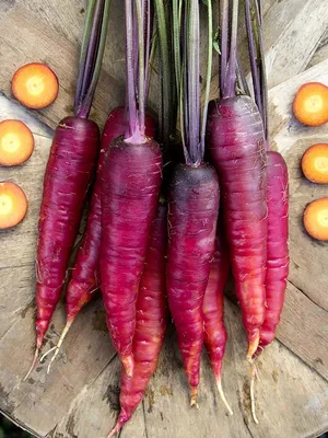 Морковь Космически- фиолетовая (Cosmic Purple)