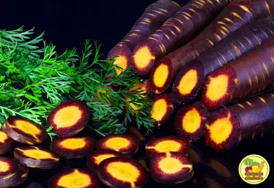 Фиолетовая морковь на белой предпосылке Стоковое Изображение - изображение  насчитывающей органическо, морковь: 124501399